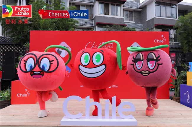 “智利车厘子公仔”惊艳亮相成都二、三线城市车厘子增量持续爆发(图1)