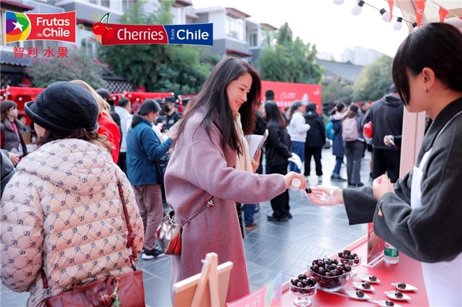 “智利车厘子公仔”惊艳亮相成都二、三线城市车厘子增量持续爆发(图6)