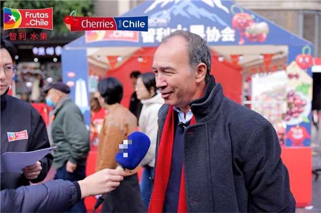 “智利车厘子公仔”惊艳亮相成都二、三线城市车厘子增量持续爆发(图4)