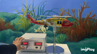 收藏！昌江区春节文旅活动指南来了(图32)