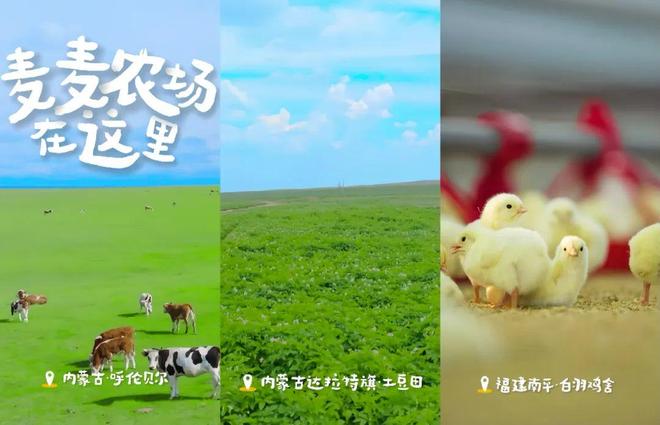 非遗营销爆火！4大品牌如何把“老手艺”做成“新顶流”？(图3)