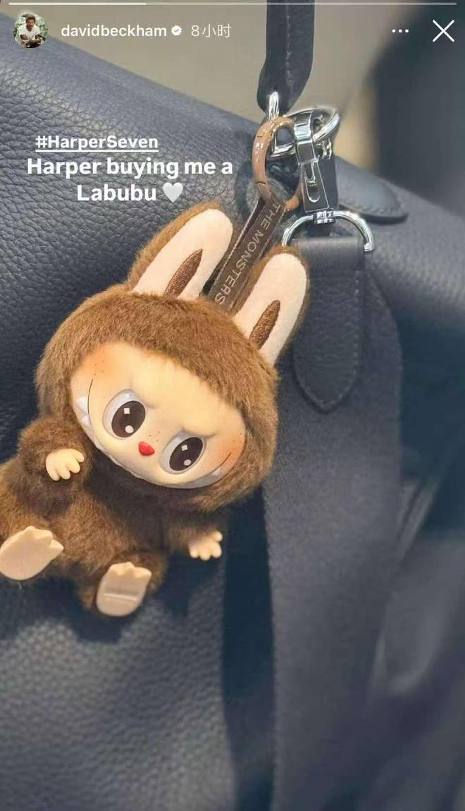 Labubu爆火粉丝花20万买货“辣布布”们蹭流量暴富(图2)